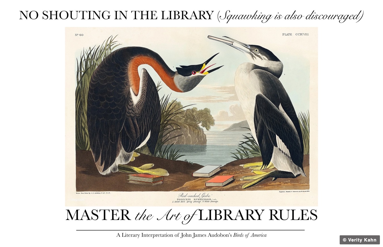 No shouting in the library, squawking is also discouraged: a John James Audubon plate from The Birds of America.